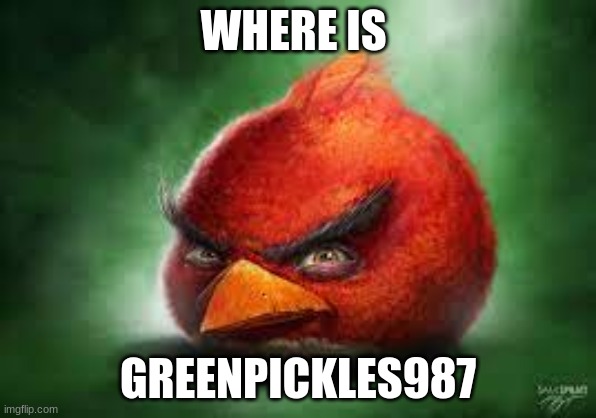 no plz | WHERE IS; GREENPICKLES987 | image tagged in realistic red angry birds | made w/ Imgflip meme maker