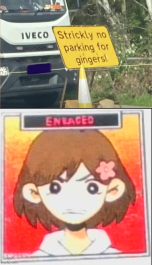 My online friend thinks me and my oc are ginger (he is definitely colorblind) | image tagged in strictly no parking for gingers,omori | made w/ Imgflip meme maker