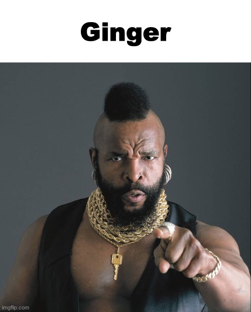 Mr T Pointy | Ginger | image tagged in mr t pointy | made w/ Imgflip meme maker