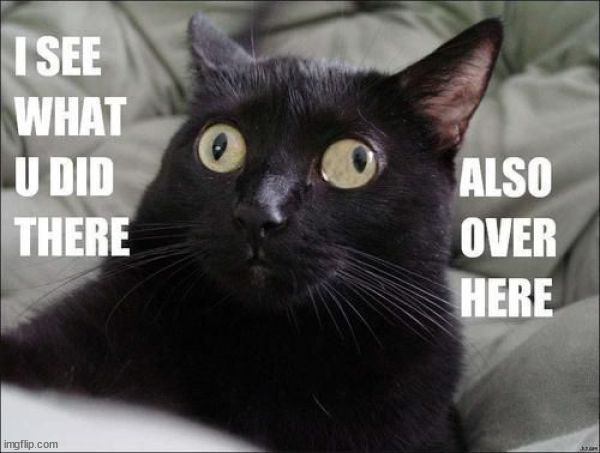 image tagged in eyeroll | made w/ Imgflip meme maker