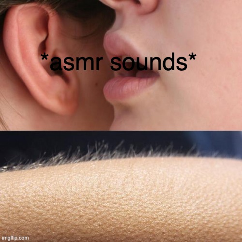 Whisper and Goosebumps | *asmr sounds* | image tagged in whisper and goosebumps | made w/ Imgflip meme maker