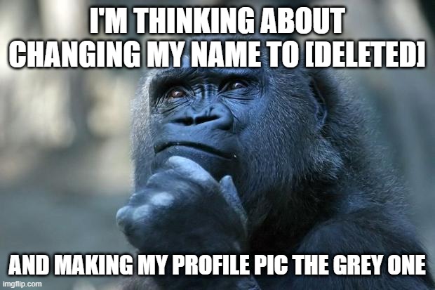 Put Your Thoughts In The Coments | I'M THINKING ABOUT CHANGING MY NAME TO [DELETED]; AND MAKING MY PROFILE PIC THE GREY ONE | image tagged in deep thoughts | made w/ Imgflip meme maker