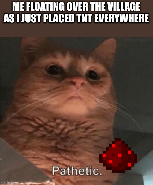 Pathetic Cat | ME FLOATING OVER THE VILLAGE AS I JUST PLACED TNT EVERYWHERE | image tagged in pathetic cat | made w/ Imgflip meme maker