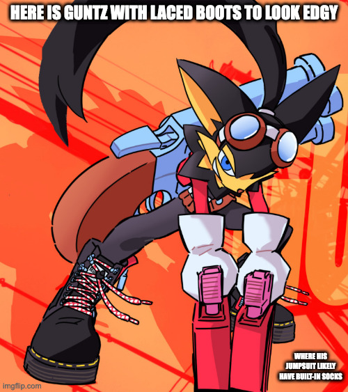 Guntz With Laced Boots | HERE IS GUNTZ WITH LACED BOOTS TO LOOK EDGY; WHERE HIS JUMPSUIT LIKELY HAVE BUILT-IN SOCKS | image tagged in klonoa,guntz,memes | made w/ Imgflip meme maker
