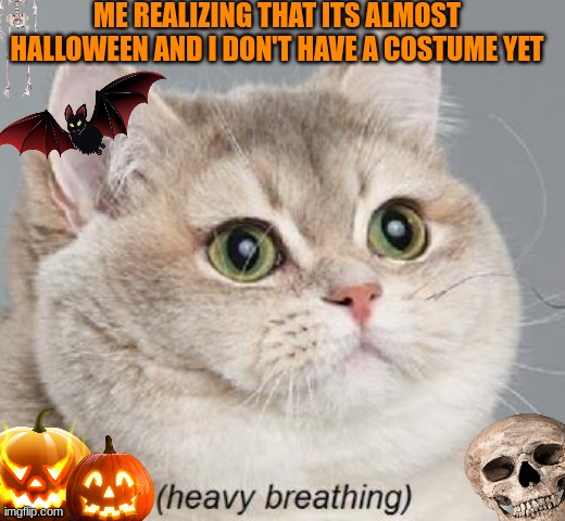HELP!!! | ME REALIZING THAT ITS ALMOST HALLOWEEN AND I DON'T HAVE A COSTUME YET | image tagged in memes,heavy breathing cat,halloween,halloween is coming,halloween costume | made w/ Imgflip meme maker