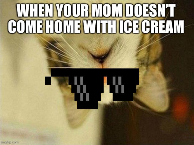 Mom why | WHEN YOUR MOM DOESN’T COME HOME WITH ICE CREAM | image tagged in memes,scared cat | made w/ Imgflip meme maker