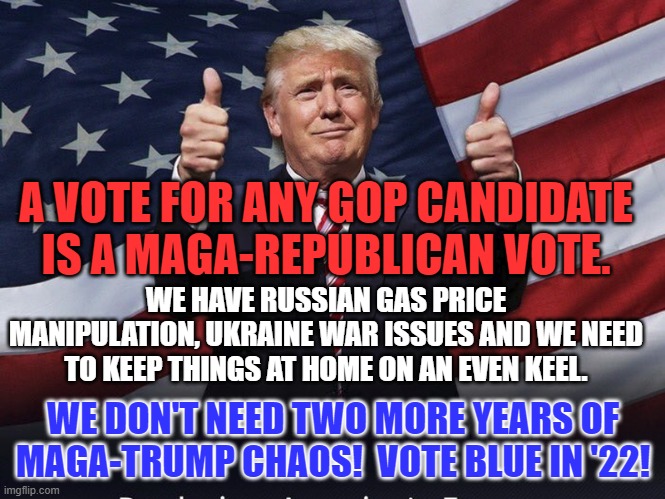 He needs Maga-Chaos to thrive. | A VOTE FOR ANY GOP CANDIDATE IS A MAGA-REPUBLICAN VOTE. WE HAVE RUSSIAN GAS PRICE MANIPULATION, UKRAINE WAR ISSUES AND WE NEED TO KEEP THINGS AT HOME ON AN EVEN KEEL. WE DON'T NEED TWO MORE YEARS OF MAGA-TRUMP CHAOS!  VOTE BLUE IN '22! | image tagged in donald trump thumbs up | made w/ Imgflip meme maker
