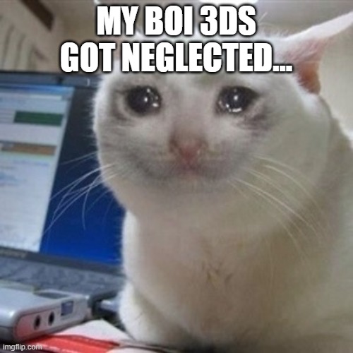Crying cat | MY BOI 3DS GOT NEGLECTED... | image tagged in crying cat | made w/ Imgflip meme maker