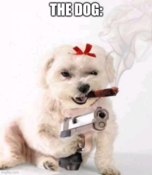 Dog with gun | THE DOG: | image tagged in dog with gun | made w/ Imgflip meme maker
