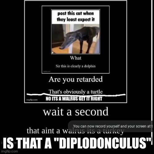 IS THAT A "DIPLODONCULUS" | image tagged in funny | made w/ Imgflip meme maker