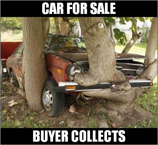 Needs Some Attention ! | CAR FOR SALE; BUYER COLLECTS | image tagged in cars,for sale,buyer collects | made w/ Imgflip meme maker