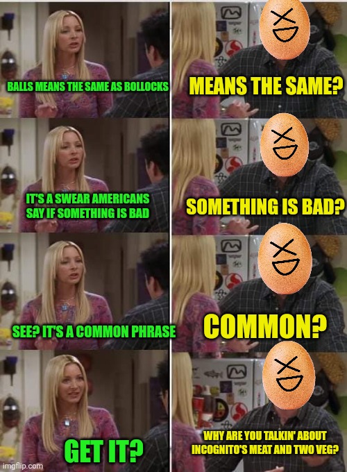 Phoebe Joey | BALLS MEANS THE SAME AS BOLLOCKS MEANS THE SAME? IT'S A SWEAR AMERICANS SAY IF SOMETHING IS BAD SOMETHING IS BAD? SEE? IT'S A COMMON PHRASE  | image tagged in phoebe joey | made w/ Imgflip meme maker