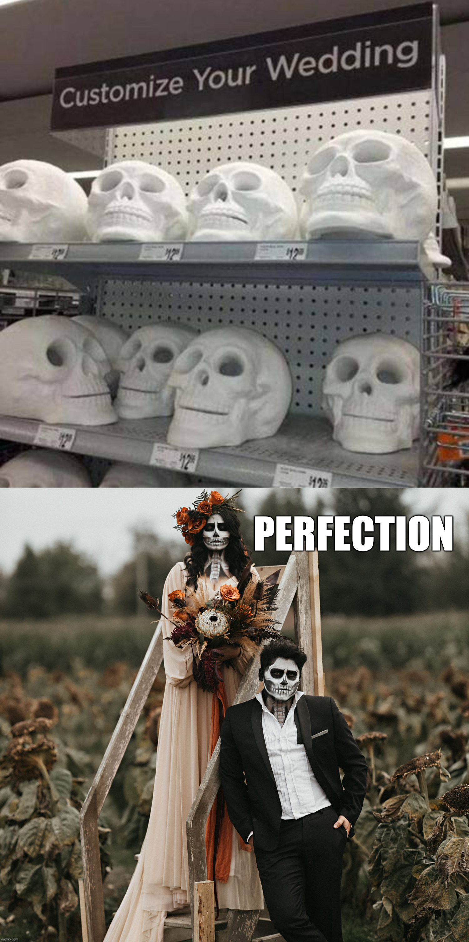 PERFECTION | image tagged in you had one job | made w/ Imgflip meme maker