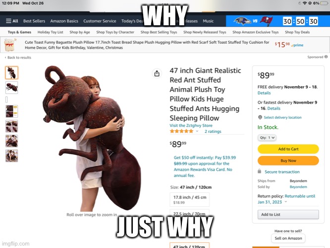 Bruh | WHY; JUST WHY | image tagged in ant | made w/ Imgflip meme maker