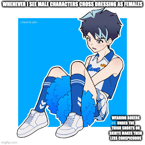Male Character Cross Dressing as a Cheerleader | WHENEVER I SEE MALE CHARACTERS CROSS DRESSING AS FEMALES; WEARING BOXERS UNDER THE THIGH SHORTS OR SKIRTS MAKES THEM LESS CONSPICUOUS | image tagged in crossdressing,cheerleader,memes | made w/ Imgflip meme maker