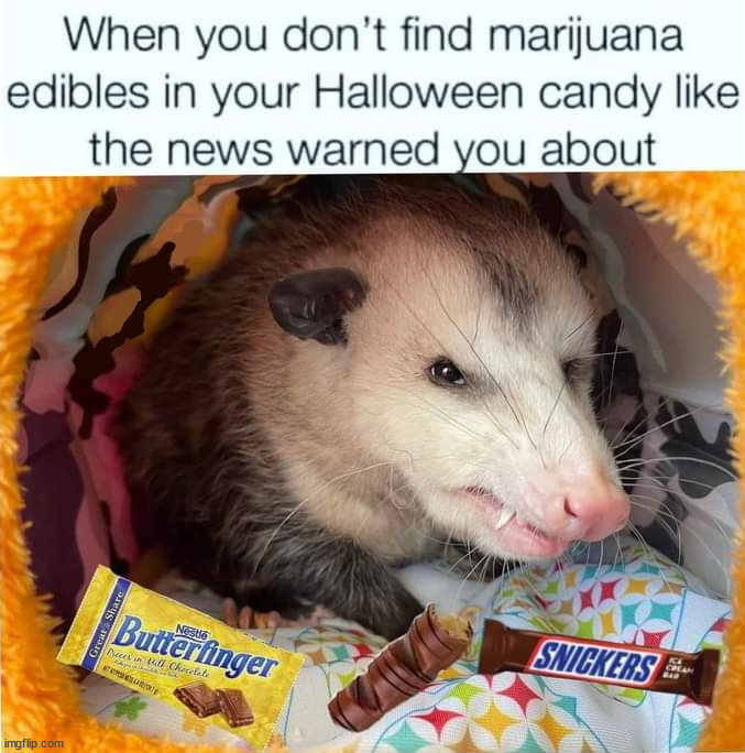 image tagged in repost | made w/ Imgflip meme maker
