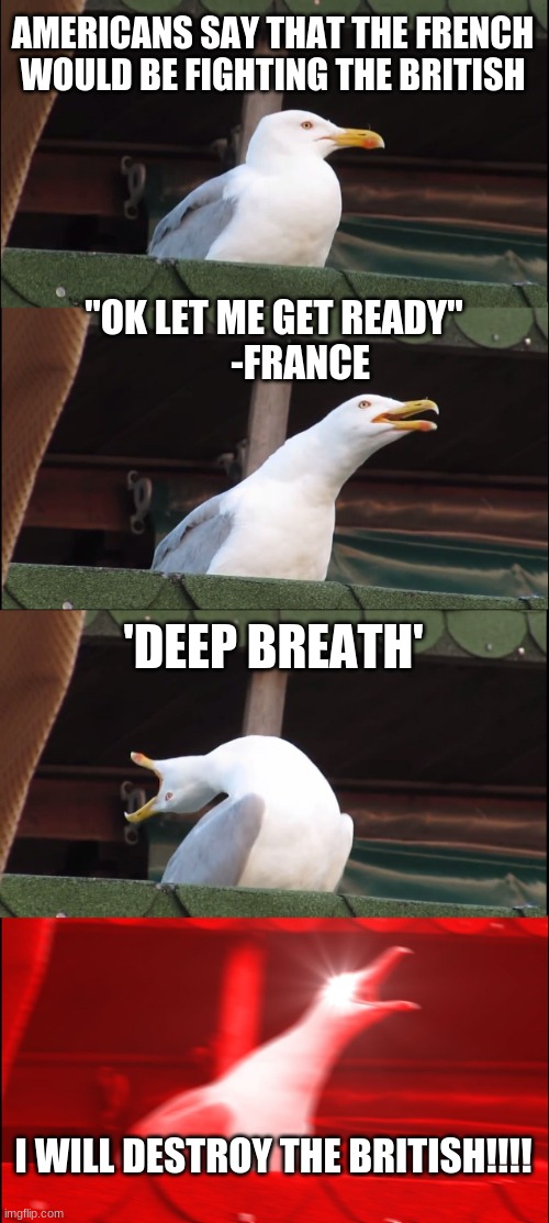 Inhaling Seagull | AMERICANS SAY THAT THE FRENCH WOULD BE FIGHTING THE BRITISH; "OK LET ME GET READY"
       -FRANCE; 'DEEP BREATH'; I WILL DESTROY THE BRITISH!!!! | image tagged in memes,inhaling seagull | made w/ Imgflip meme maker