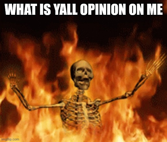Skeleton Burning In Hell | WHAT IS YALL OPINION ON ME | image tagged in skeleton burning in hell | made w/ Imgflip meme maker