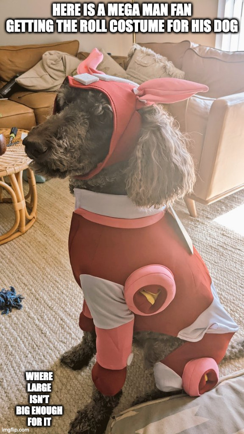 Rush Costume | HERE IS A MEGA MAN FAN GETTING THE ROLL COSTUME FOR HIS DOG; WHERE LARGE ISN'T BIG ENOUGH FOR IT | image tagged in megaman,dogs,costume,rush,memes | made w/ Imgflip meme maker