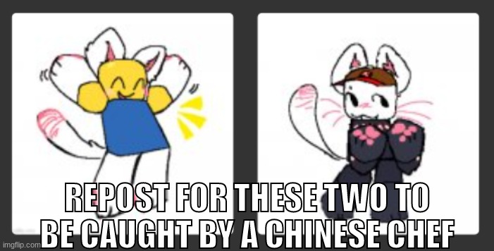 REPOST FOR THESE TWO TO BE CAUGHT BY A CHINESE CHEF | made w/ Imgflip meme maker