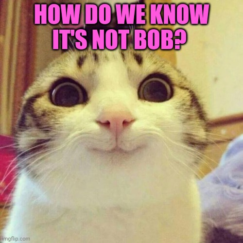 Smiling Cat Meme | HOW DO WE KNOW IT'S NOT BOB? | image tagged in memes,smiling cat | made w/ Imgflip meme maker