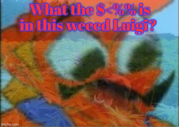 What the $<%% is in this weeed Luigi? | made w/ Imgflip meme maker