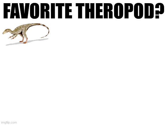 Compsognathus is my favorite | FAVORITE THEROPOD? | image tagged in blank white template | made w/ Imgflip meme maker