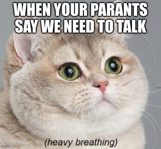 Heavy Breathing Cat | WHEN YOUR PARANTS SAY WE NEED TO TALK | image tagged in memes,heavy breathing cat | made w/ Imgflip meme maker