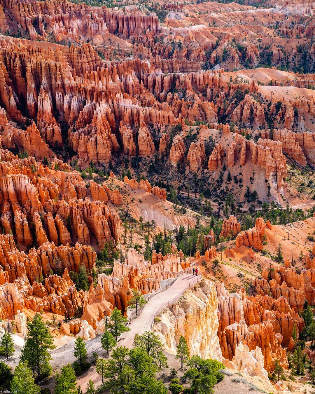 image tagged in awesome | made w/ Imgflip meme maker