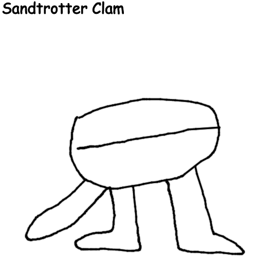 High Quality Sandtrotter Clam Blank Meme Template