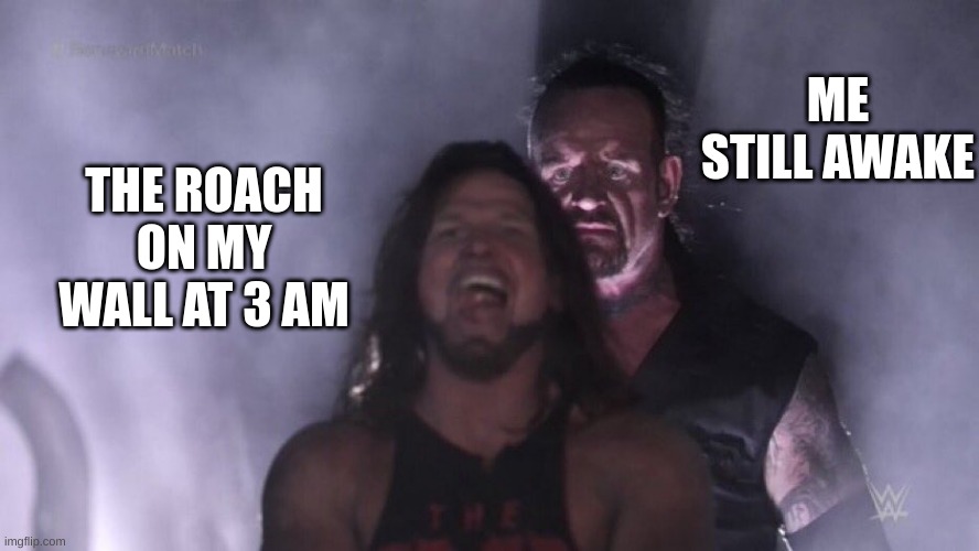 AJ Styles & Undertaker | ME STILL AWAKE; THE ROACH ON MY WALL AT 3 AM | image tagged in aj styles undertaker | made w/ Imgflip meme maker
