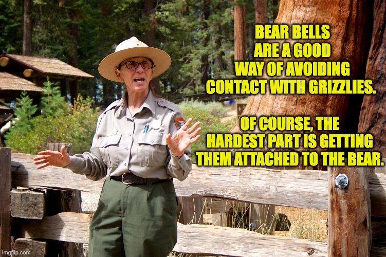 Bells | BEAR BELLS ARE A GOOD WAY OF AVOIDING CONTACT WITH GRIZZLIES. OF COURSE, THE HARDEST PART IS GETTING THEM ATTACHED TO THE BEAR. | image tagged in dad joke | made w/ Imgflip meme maker