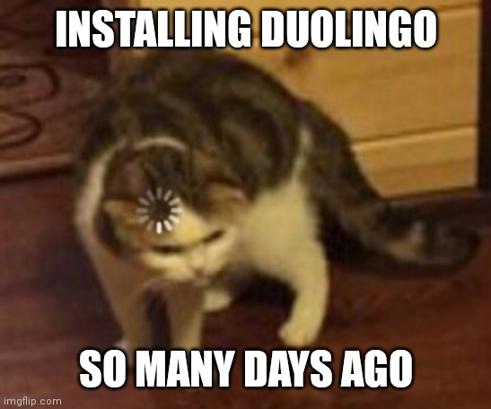 Duligo | INSTALLING DUOLINGO; SO MANY DAYS AGO | image tagged in loading cat,duolingo | made w/ Imgflip meme maker