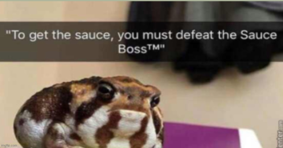 HAHAHA IM DYING | image tagged in lmao,frog | made w/ Imgflip meme maker