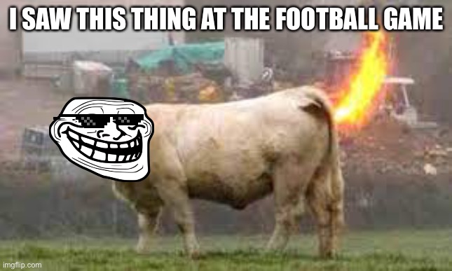 Fire Pooping Cow | I SAW THIS THING AT THE FOOTBALL GAME | image tagged in weird,weird stuff i do potoo | made w/ Imgflip meme maker