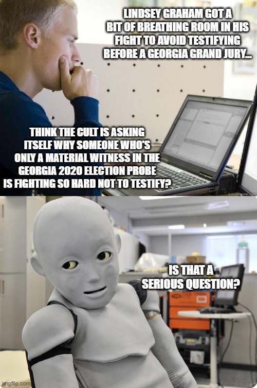 The sheep says "BAA" | LINDSEY GRAHAM GOT A BIT OF BREATHING ROOM IN HIS FIGHT TO AVOID TESTIFYING BEFORE A GEORGIA GRAND JURY... THINK THE CULT IS ASKING ITSELF WHY SOMEONE WHO'S ONLY A MATERIAL WITNESS IN THE GEORGIA 2020 ELECTION PROBE IS FIGHTING SO HARD NOT TO TESTIFY? IS THAT A SERIOUS QUESTION? | image tagged in programmer,annoyed robot | made w/ Imgflip meme maker