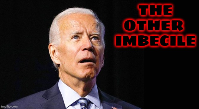 Confused joe biden | THE
OTHER 
IMBECILE | image tagged in confused joe biden | made w/ Imgflip meme maker