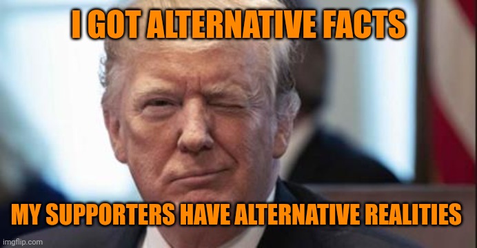 TCS trump coup supporters | I GOT ALTERNATIVE FACTS; MY SUPPORTERS HAVE ALTERNATIVE REALITIES | image tagged in trump wink | made w/ Imgflip meme maker