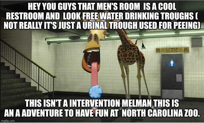 Melman Thinking about drinking fountains | HEY YOU GUYS THAT MEN'S ROOM  IS A COOL RESTROOM AND  LOOK FREE WATER DRINKING TROUGHS ( NOT REALLY IT'S JUST A URINAL TROUGH USED FOR PEEING); THIS ISN'T A INTERVENTION MELMAN THIS IS AN A ADVENTURE TO HAVE FUN AT  NORTH CAROLINA ZOO. | image tagged in urinal cake,melman,funny giraffe,nyc,madagascar,subway station | made w/ Imgflip meme maker