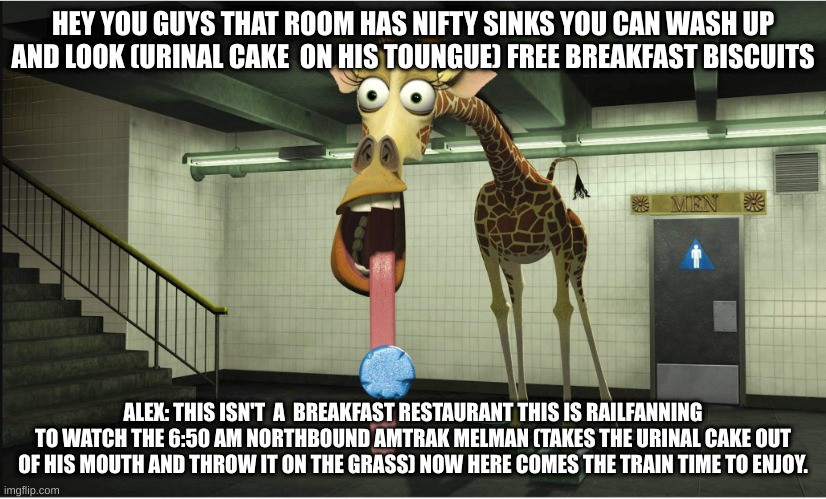 Melman Thinking about Biscuits | HEY YOU GUYS THAT ROOM HAS NIFTY SINKS YOU CAN WASH UP AND LOOK (URINAL CAKE  ON HIS TOUNGUE) FREE BREAKFAST BISCUITS; ALEX: THIS ISN'T  A  BREAKFAST RESTAURANT THIS IS RAILFANNING TO WATCH THE 6:50 AM NORTHBOUND AMTRAK MELMAN (TAKES THE URINAL CAKE OUT OF HIS MOUTH AND THROW IT ON THE GRASS) NOW HERE COMES THE TRAIN TIME TO ENJOY. | image tagged in urinal cake,giraffe,funny giraffe,madagascar,new york,melman | made w/ Imgflip meme maker