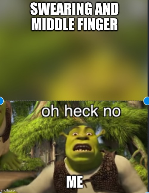 ... | SWEARING AND MIDDLE FINGER; ME | image tagged in oh no | made w/ Imgflip meme maker