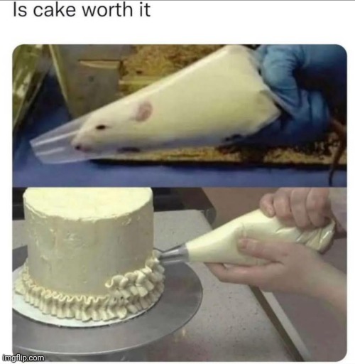 Is it really tho? | image tagged in cake | made w/ Imgflip meme maker