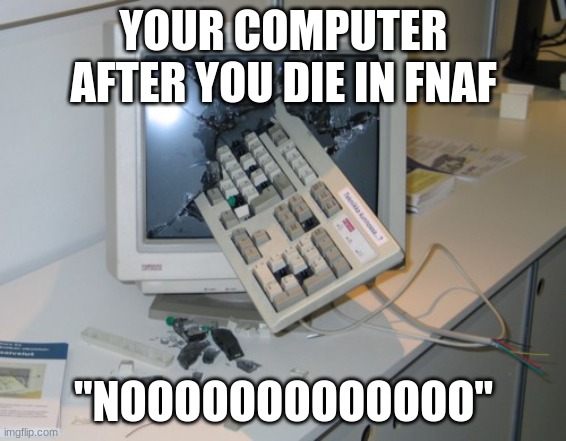 Broken computer | YOUR COMPUTER AFTER YOU DIE IN FNAF; "NOOOOOOOOOOOOO" | image tagged in broken computer | made w/ Imgflip meme maker