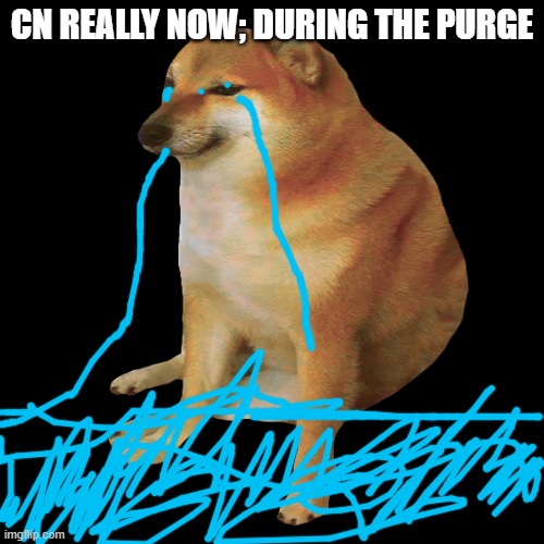 cheems | CN REALLY NOW; DURING THE PURGE | image tagged in cheems | made w/ Imgflip meme maker