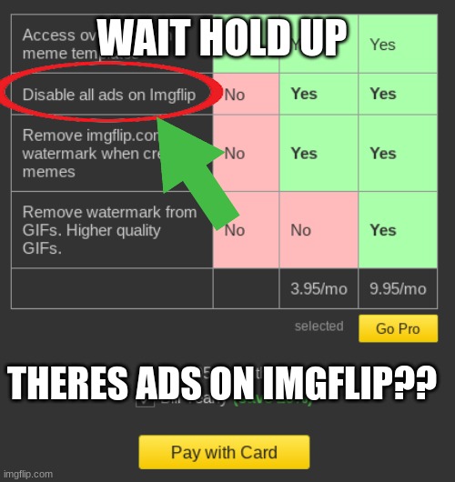 when was there ads | WAIT HOLD UP; THERES ADS ON IMGFLIP?? | image tagged in meme,fun,whut | made w/ Imgflip meme maker