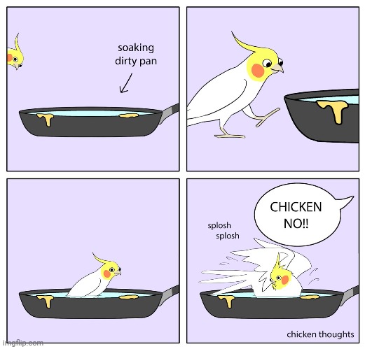 Pan | image tagged in frying pan,pan,bath,bird,comics,comics/cartoons | made w/ Imgflip meme maker