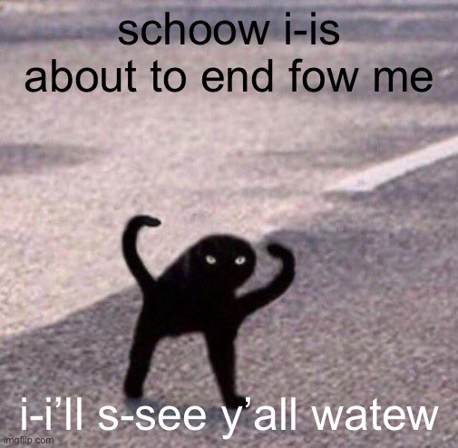 Cursed cat temp | schoow i-is about to end fow me; i-i’ll s-see y’all watew | image tagged in cursed cat temp | made w/ Imgflip meme maker