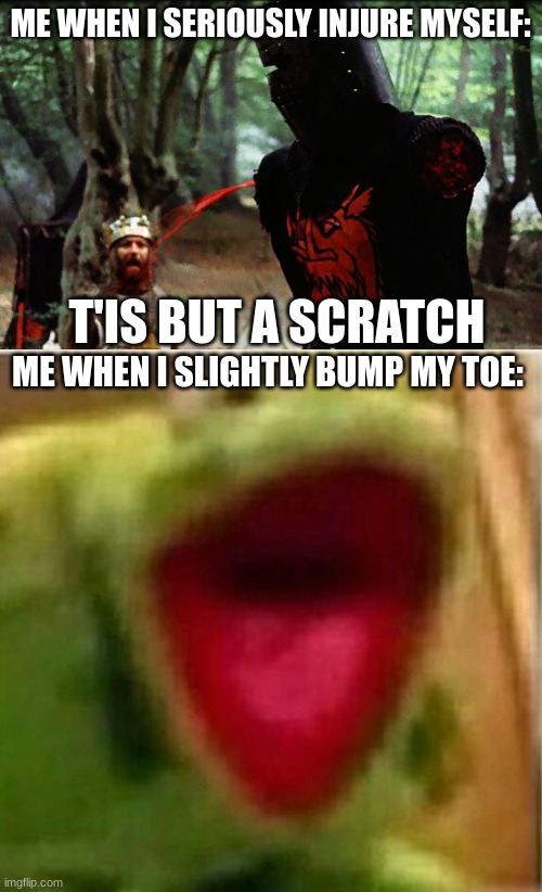 Monty Python and the Holy Grail is best movie | ME WHEN I SERIOUSLY INJURE MYSELF:; T'IS BUT A SCRATCH; ME WHEN I SLIGHTLY BUMP MY TOE: | image tagged in monty python black knight,ahhhhhhhhhhhhh,memes,funny,injury,pain | made w/ Imgflip meme maker