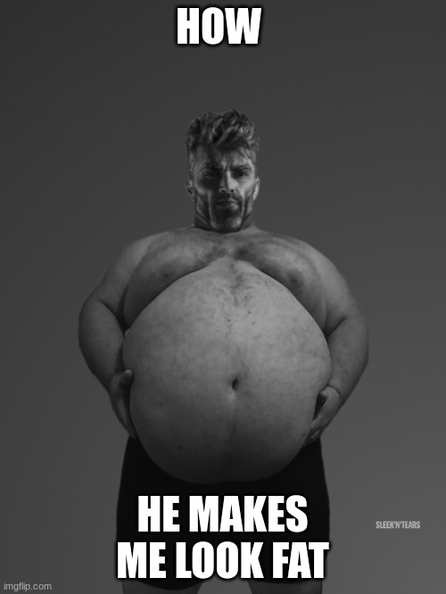 Fat Giga Chad | HOW HE MAKES ME LOOK FAT | image tagged in fat giga chad | made w/ Imgflip meme maker