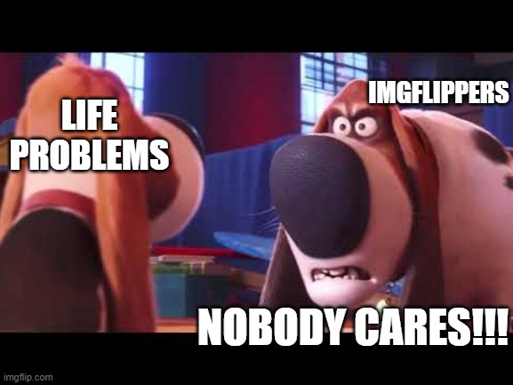 Nobody cares | IMGFLIPPERS; LIFE PROBLEMS; NOBODY CARES!!! | image tagged in nobody cares,life problems,imgflip | made w/ Imgflip meme maker